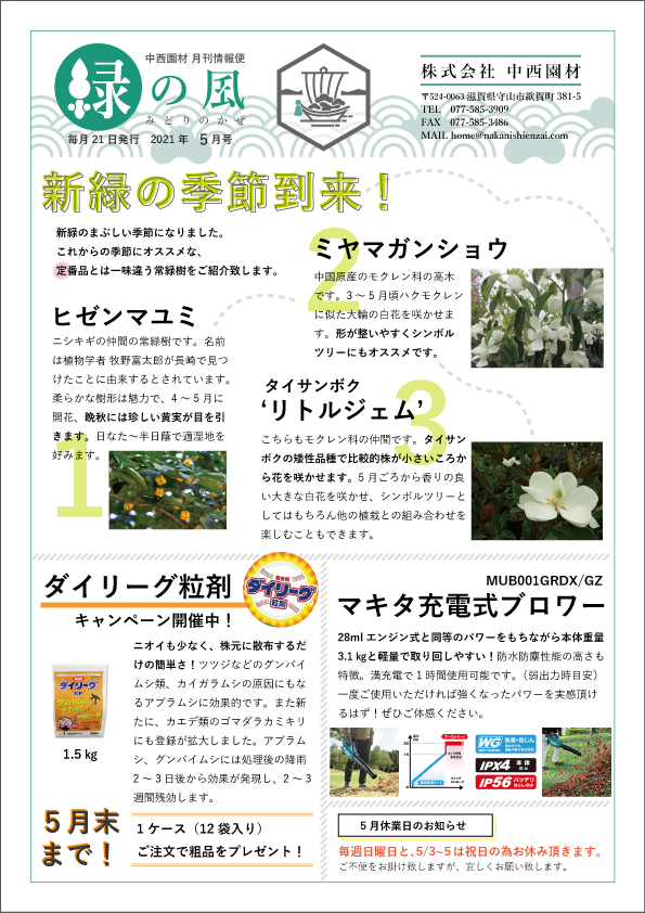 緑の風5月号