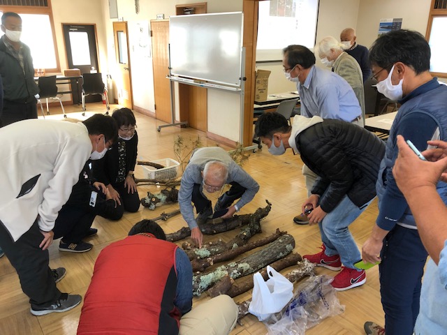 樹木医会滋賀県支部2